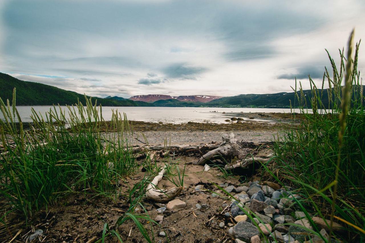 Out East B&B - Norris Point Екстер'єр фото